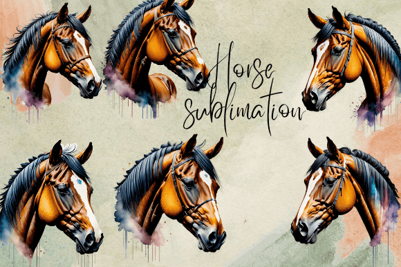 Download Horse Sublimation Protrait Watercolor - Sublimation Collection