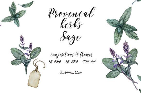 Download Sage Provence Herbs Sublimation JPG, PNG - Sublimation Collection