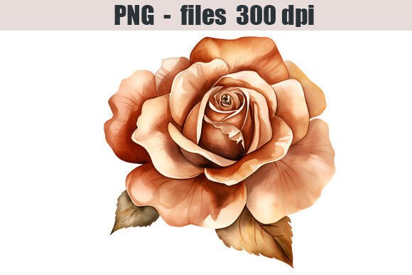 Download Bronze Rose Watercolor Clipart Graphic - Graphic Collection