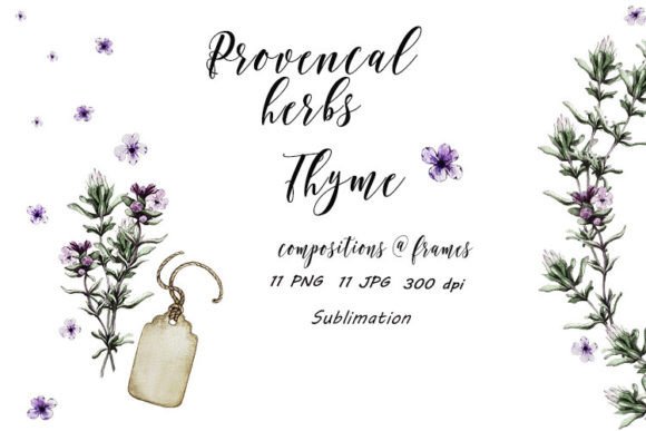 Download Thyme Provence Herbs Sublimation JPG PNG - Sublimation Collection